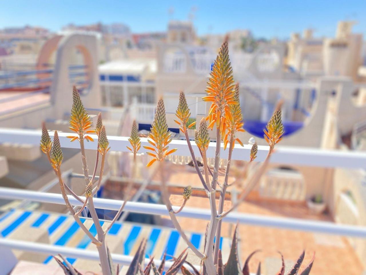 Sea View Apartments Dunas De La Mata Torrevieja Luaran gambar